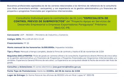 CONVOCATORIA A PRESENTAR POSTULACIÓN – ESPECIALISTA DE CONTROL PREVIO DE SUBPROYECTOS